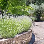 La Valle A Polvereto Farm stay *