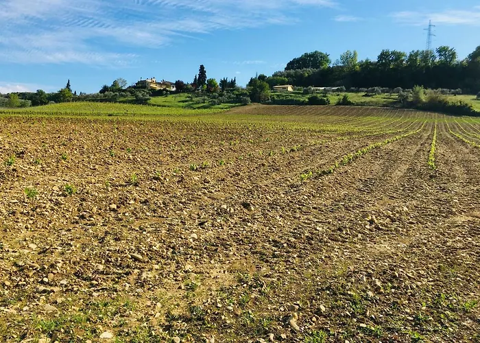 La Valle A Polvereto