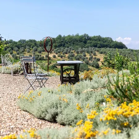 La Valle A Polvereto Farm stay *