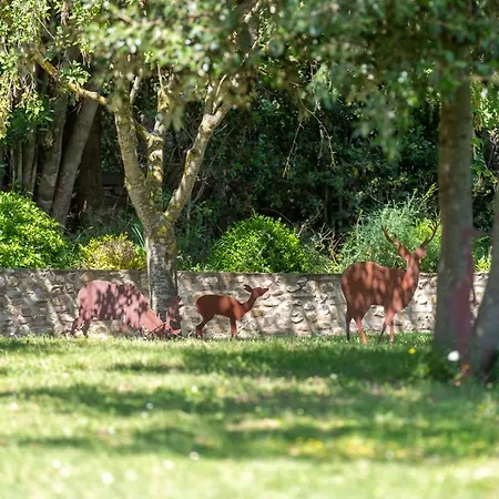 La Valle A Polvereto Farm stay *