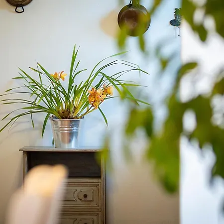 Farm stay La Valle A Polvereto